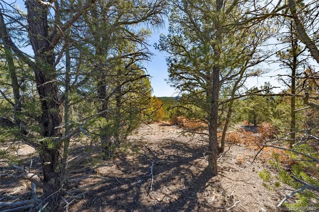 29870 County Rd 16, Trinidad