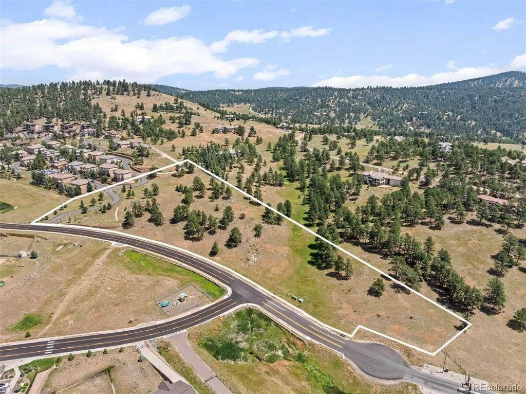 1162 Swede Gulch Road, Evergreen
