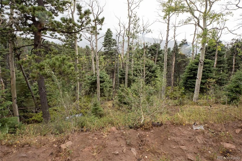Lot 2825 Moir Drive, Fort Garland