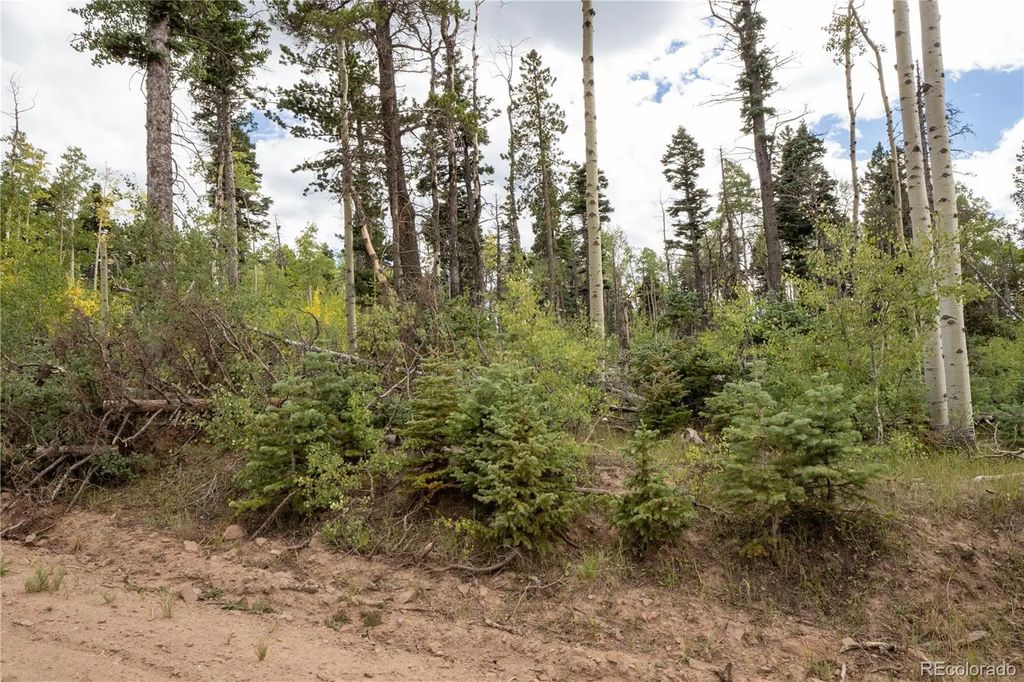 Lot 2614 Petito Drive, Fort Garland