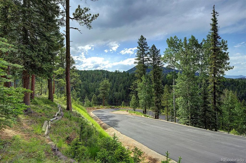 6855 Lynx Lair Road, Evergreen