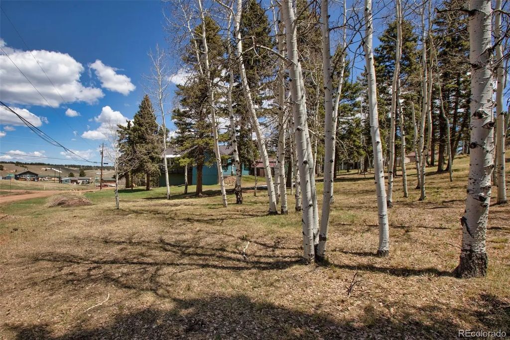 571 Will Scarlet Drive, Divide