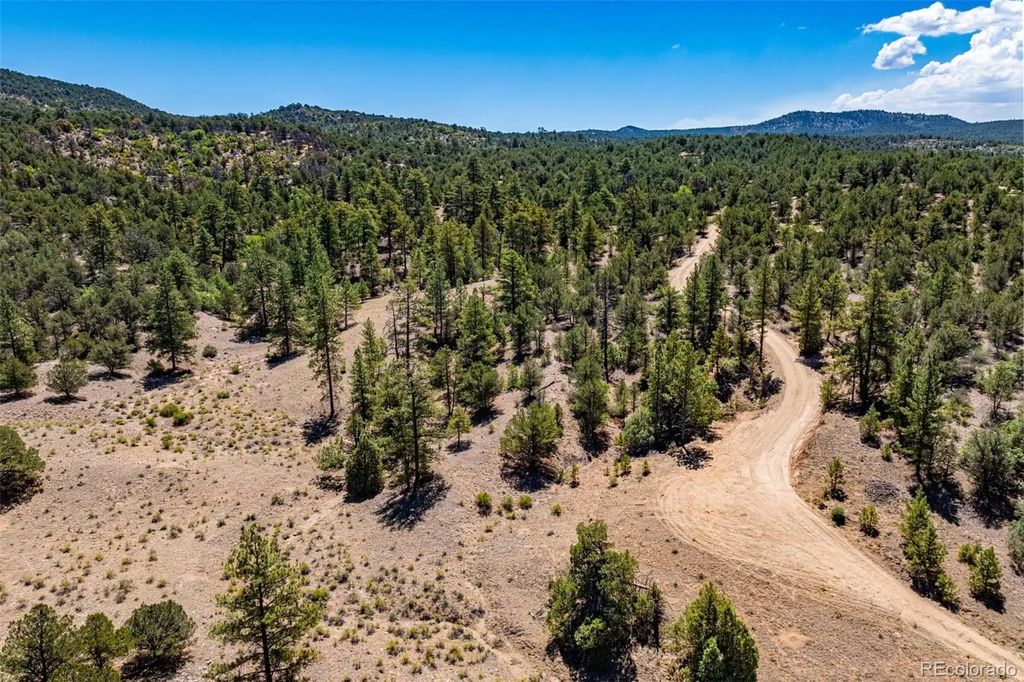 948 White Wing Way, Cotopaxi