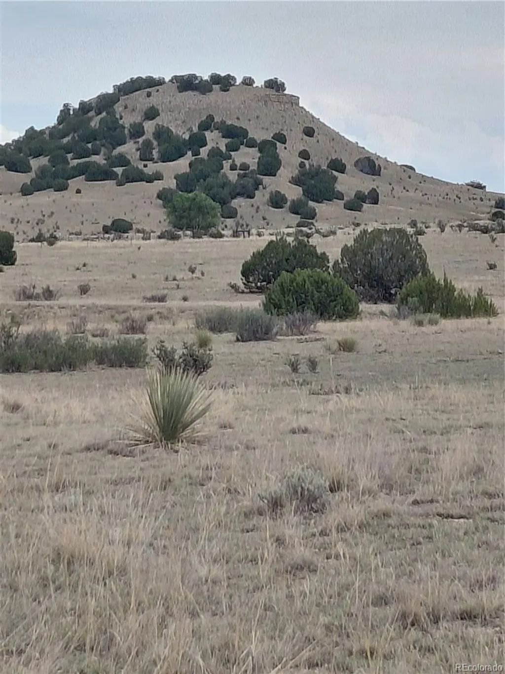 Par 62 Horse Creek Road, Pueblo