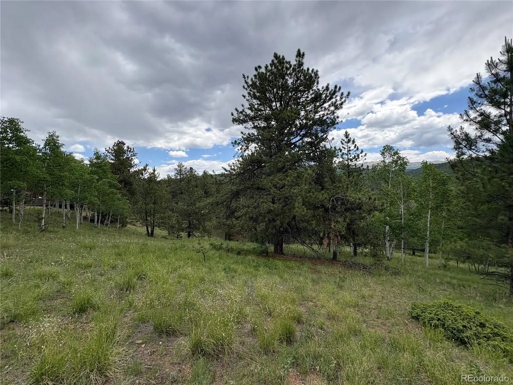 532 May Queen Drive, Cripple Creek