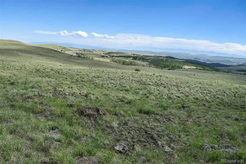 Bear Cat Road, Guffey