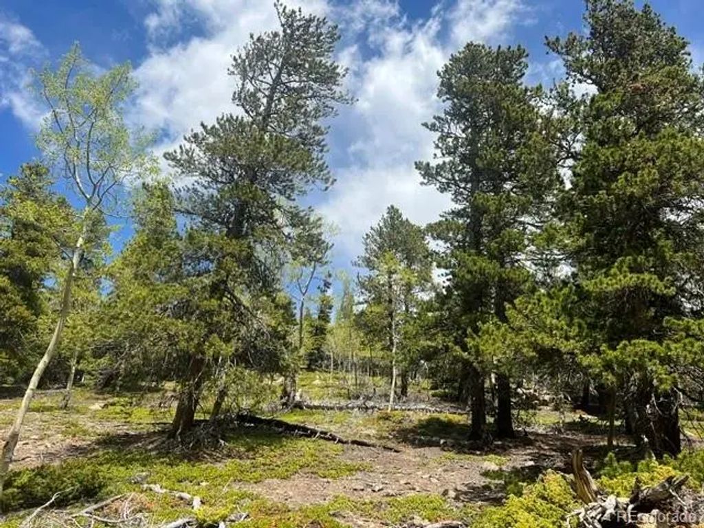 001 Sunny Skies Trail, Idaho Springs