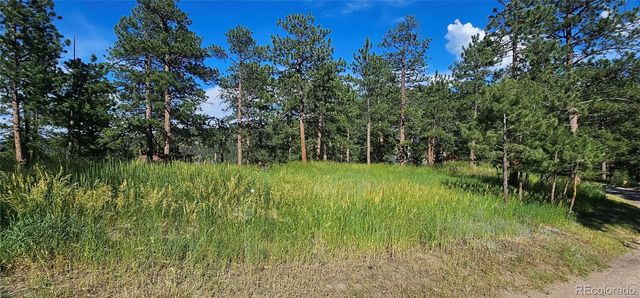 27903 Pine Drive, Evergreen