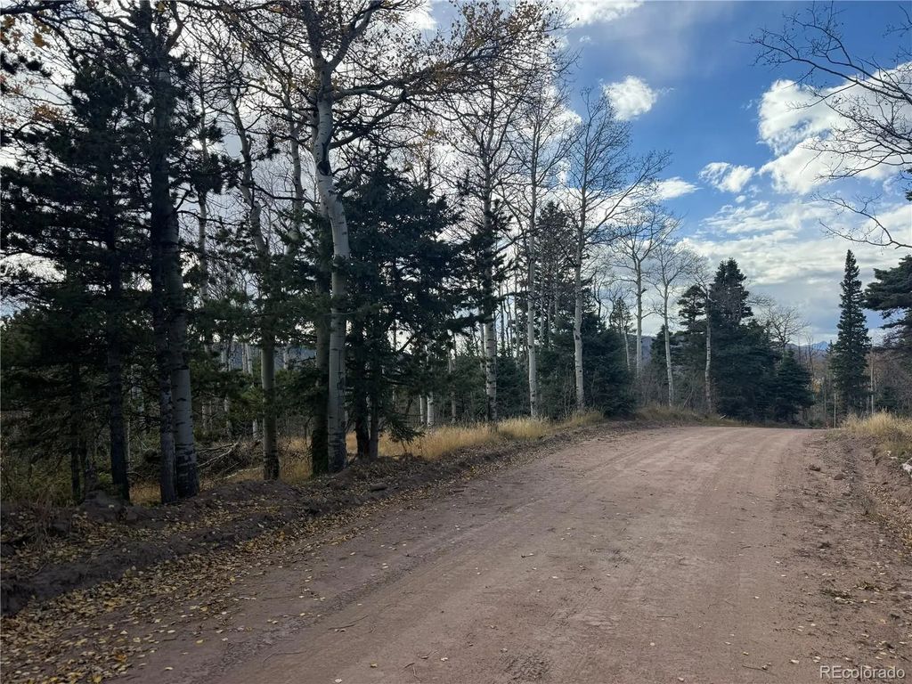 2663 Petito Drive, Fort Garland