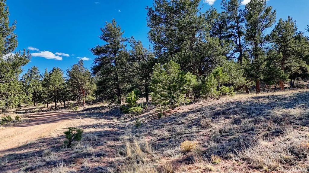 L5124 Arikara Trail, Hartsel