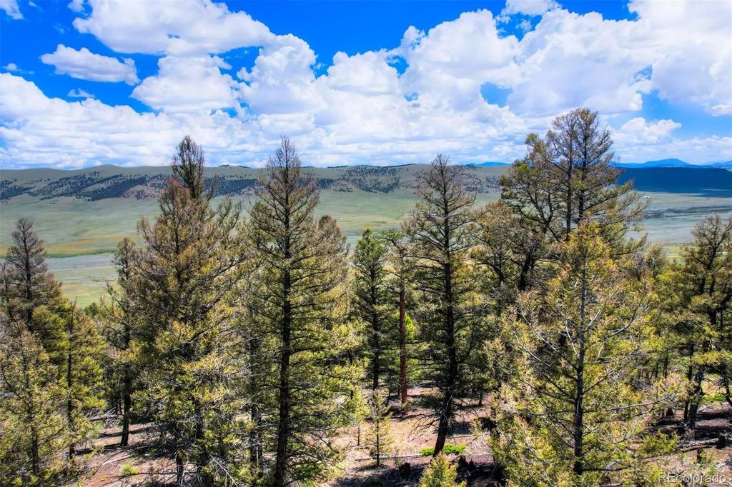 Lot 262 Middle Fork Vista, Fairplay
