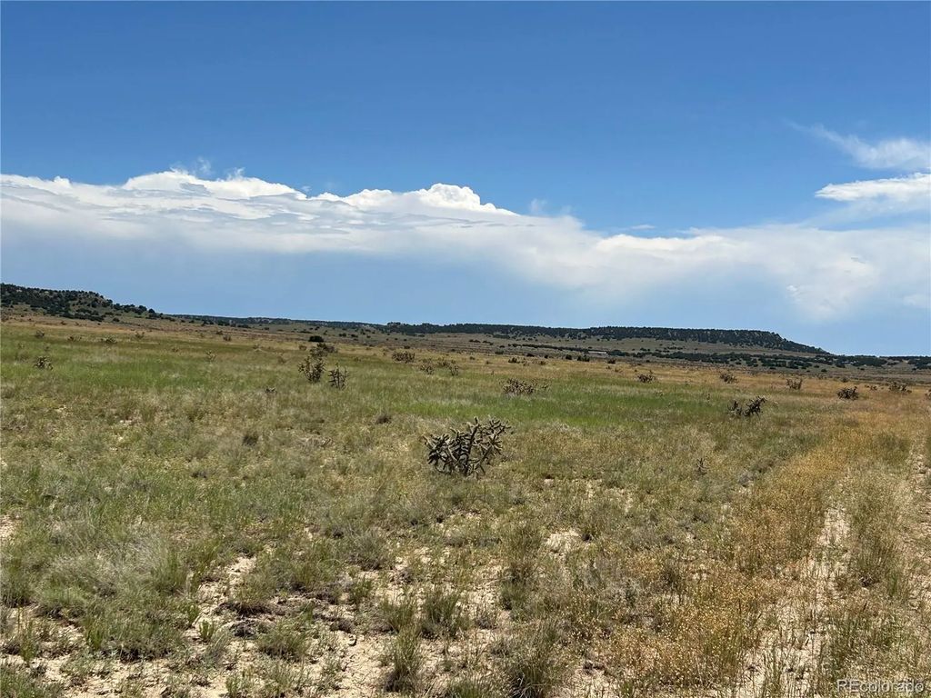 Lot 4 Outback Ranch, Model
