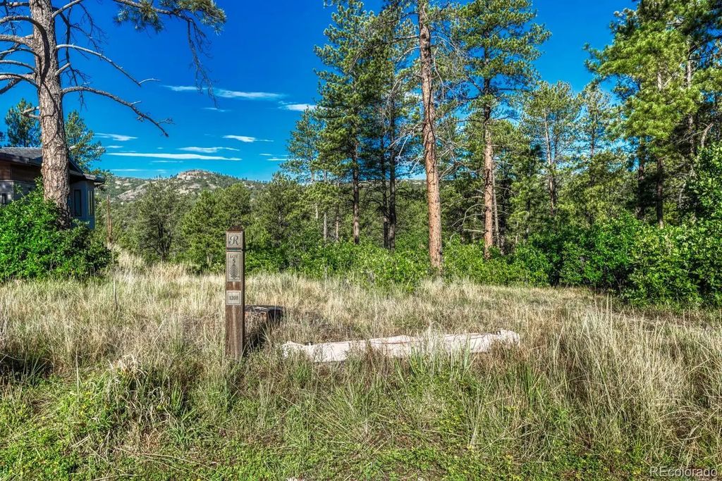 1205 Wildcat Bend Court, Castle Rock