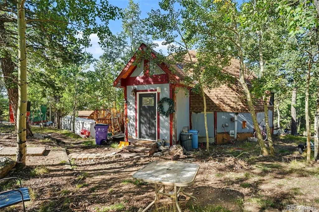 11233 Conifer Mountain Road, Conifer