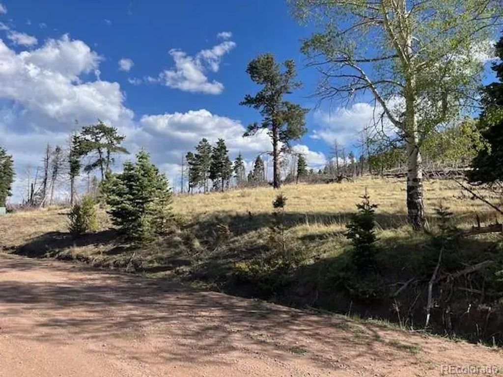 448 Wagon Mesa Loop, Fort Garland