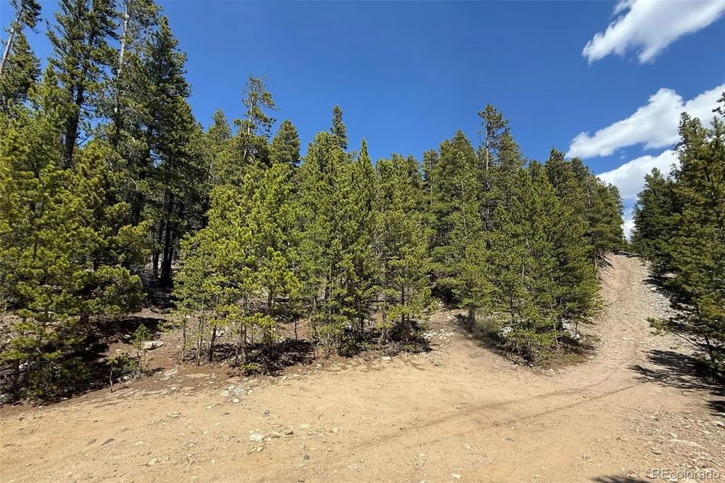 312 Vista Road, Idaho Springs