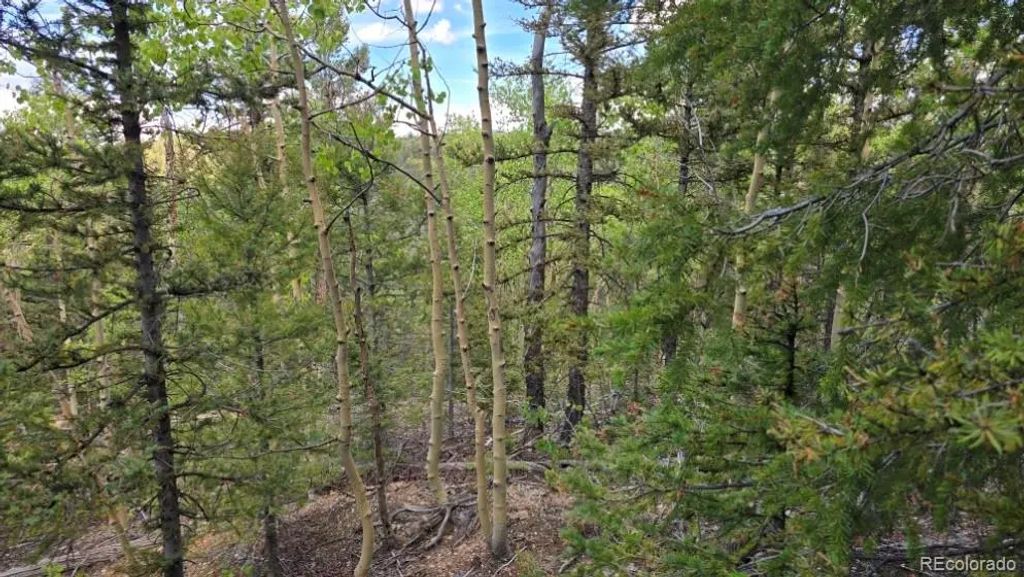 Lot 6803 Ryland Road, San Luis