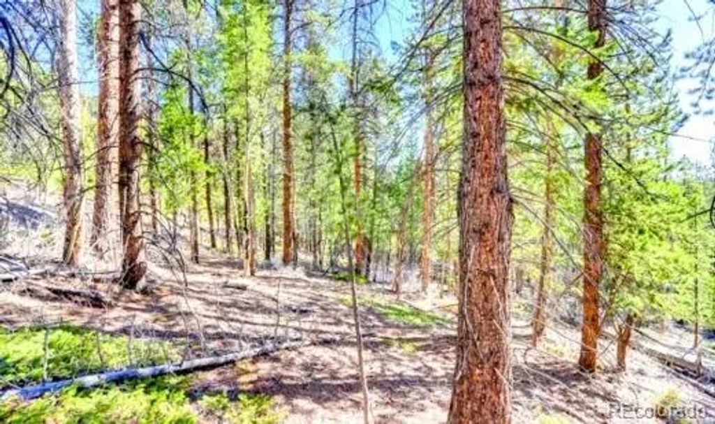 2222 Swift Claim Road, Georgetown