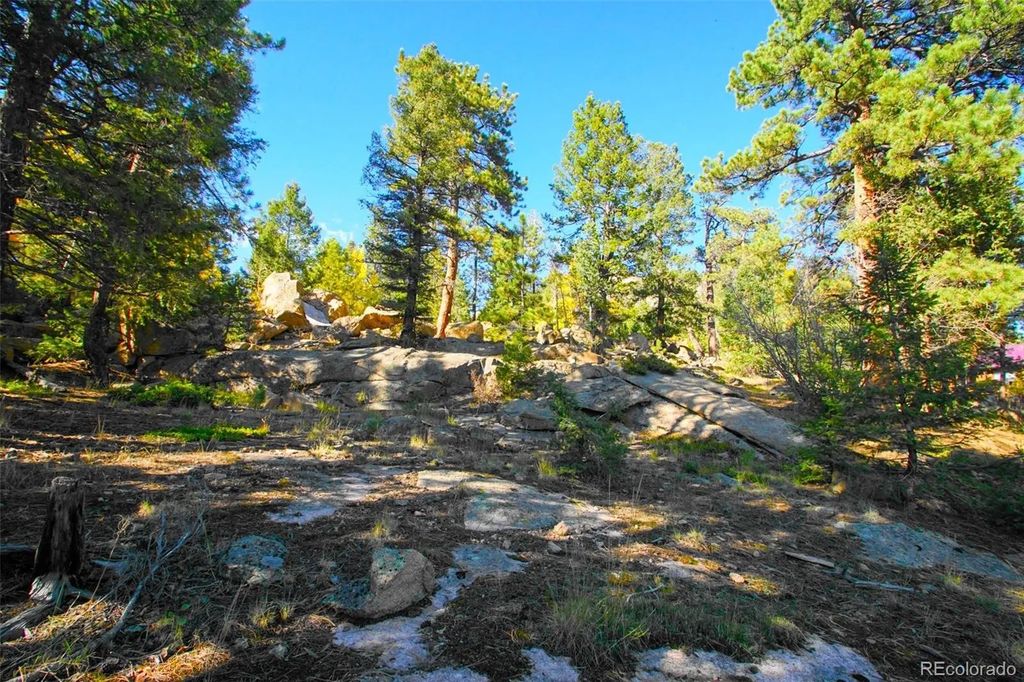 30599 Rand Road, Conifer