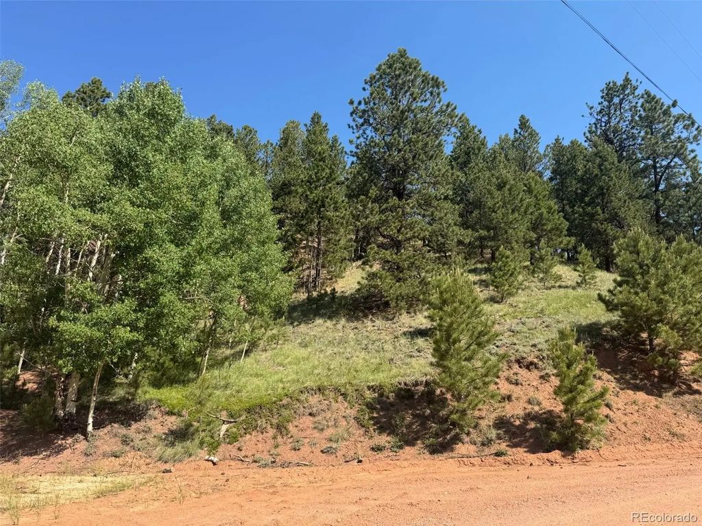 281 Pikes Peak Drive, Divide