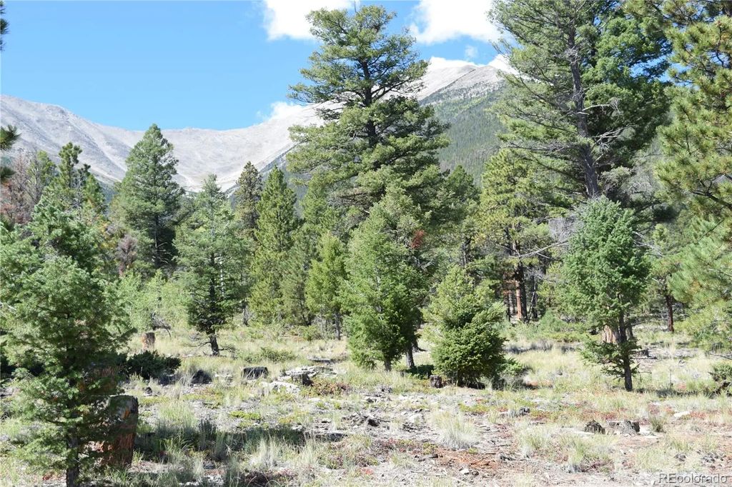 17225 County Road 327, Buena Vista