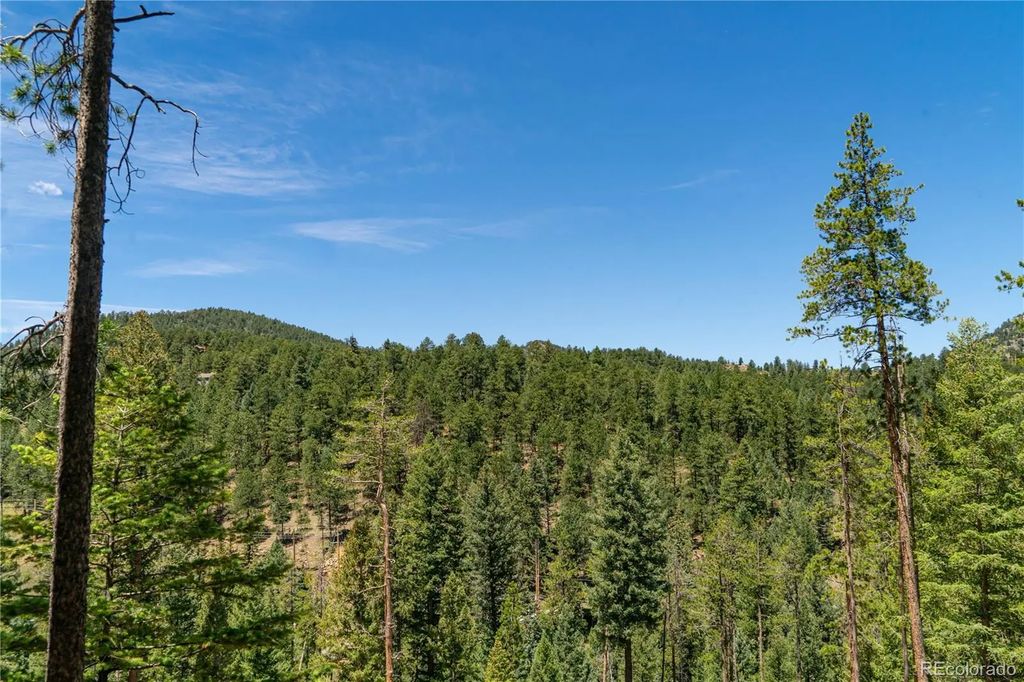 6814 Lynx Lair Road, Evergreen