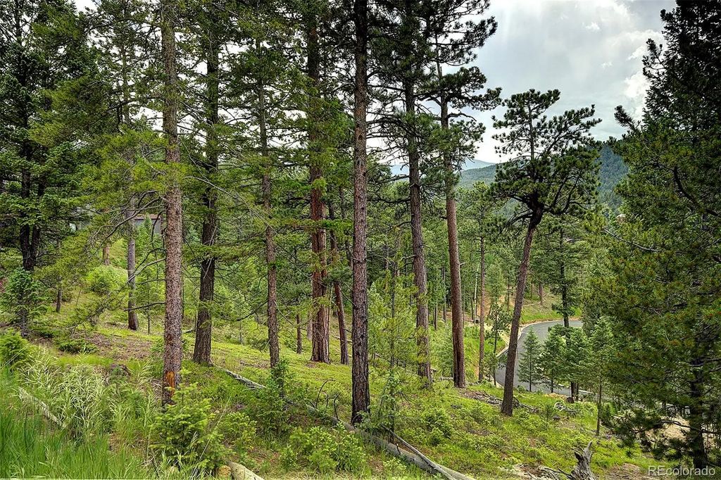 6875 Lynx Lair Road, Evergreen