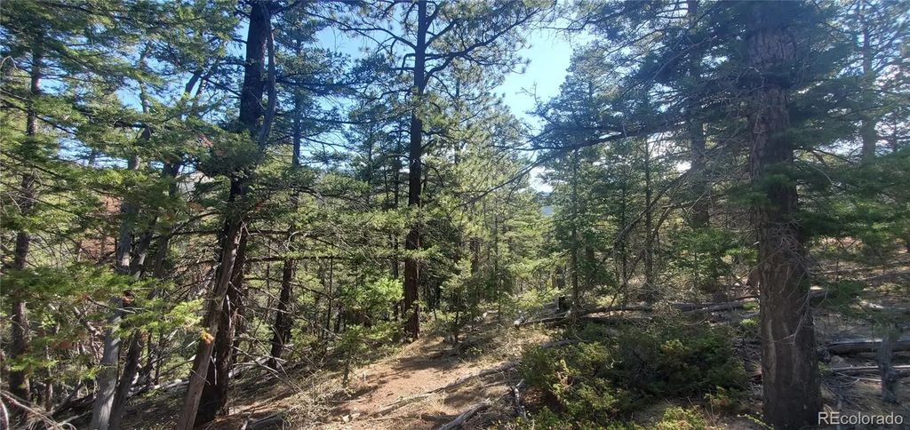 Lot 5273 Vivian Road, Fort Garland
