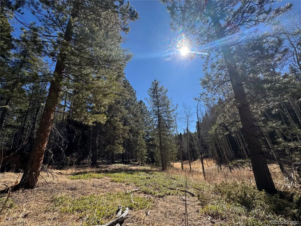 Lot 14x Wallace Avenue, Conifer