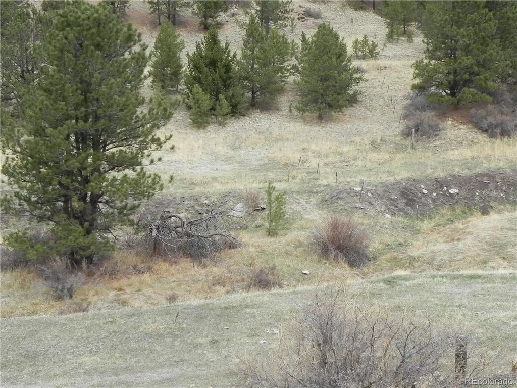 521 Monarch Drive, Cripple Creek