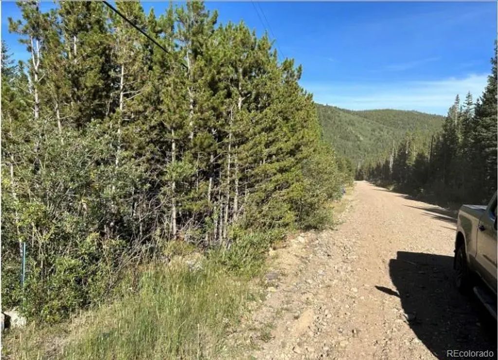343 Aspen Road, Idaho Springs