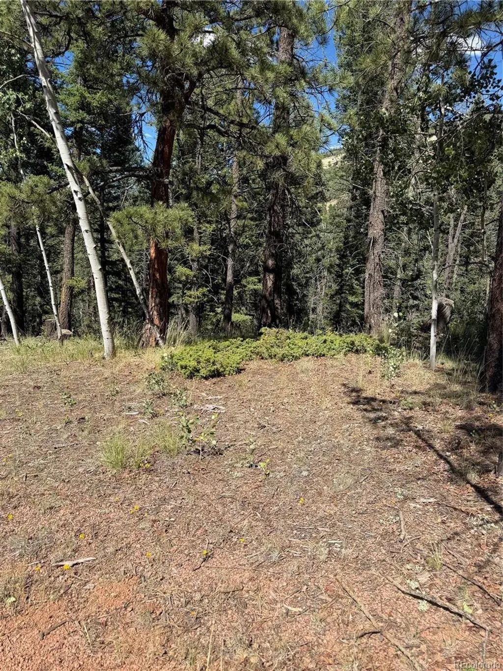 1007 Derby Drive, Cripple Creek