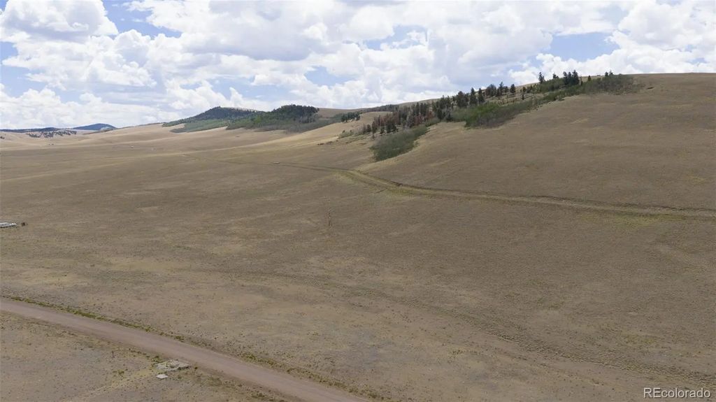Lot 3912 County Road 53, Hartsel