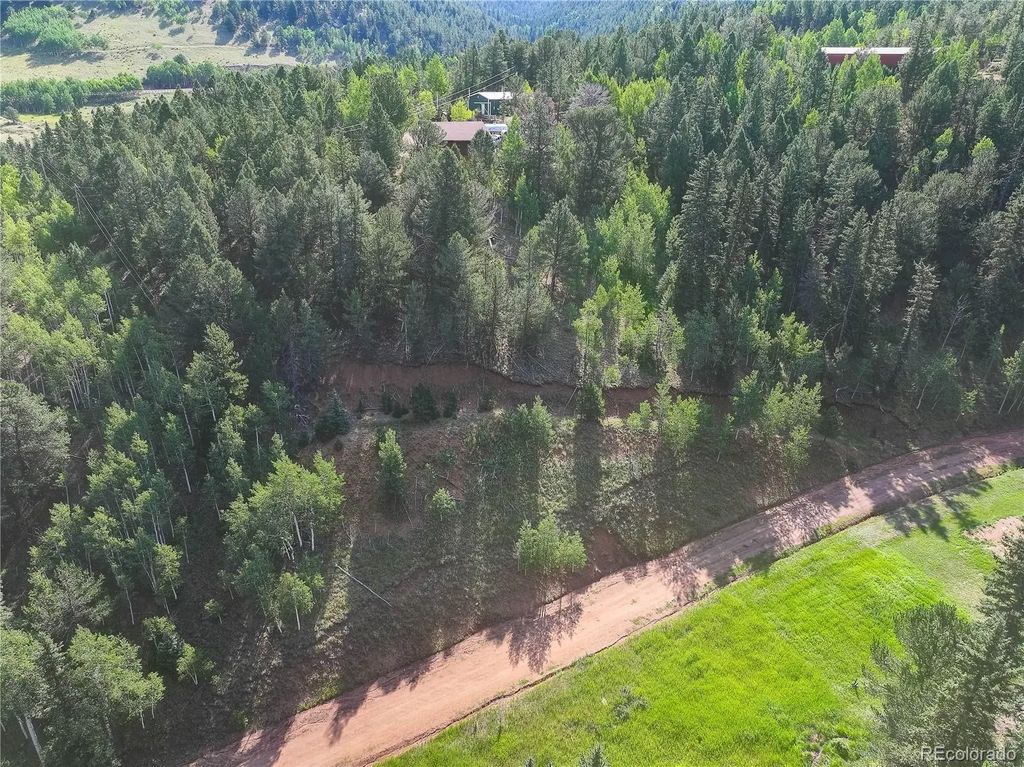 490 Willow Road, Divide
