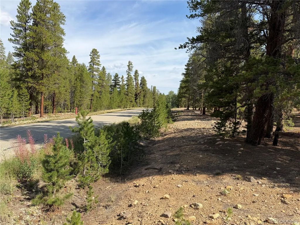 1796 Autumn Drive, Leadville