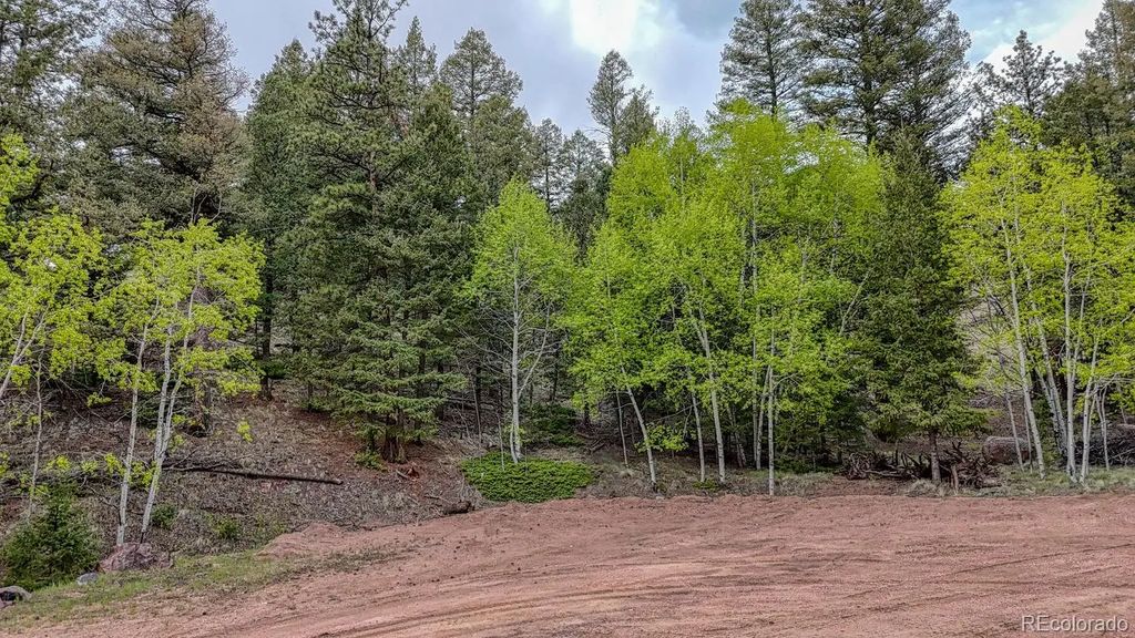 918 Pinon Lane, Florissant
