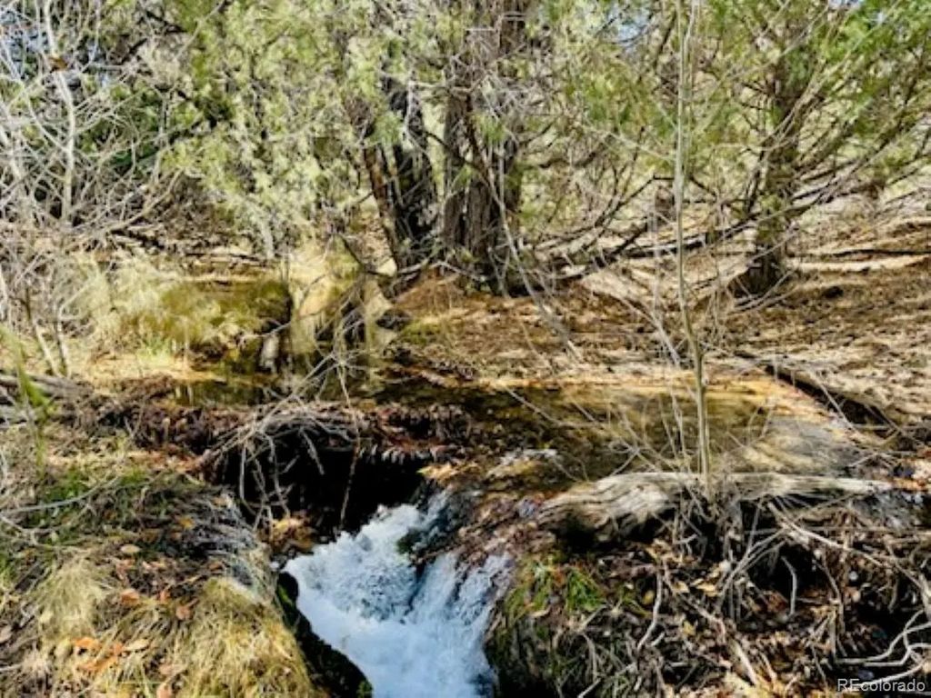 15 Lake Of The Falls, Mosca