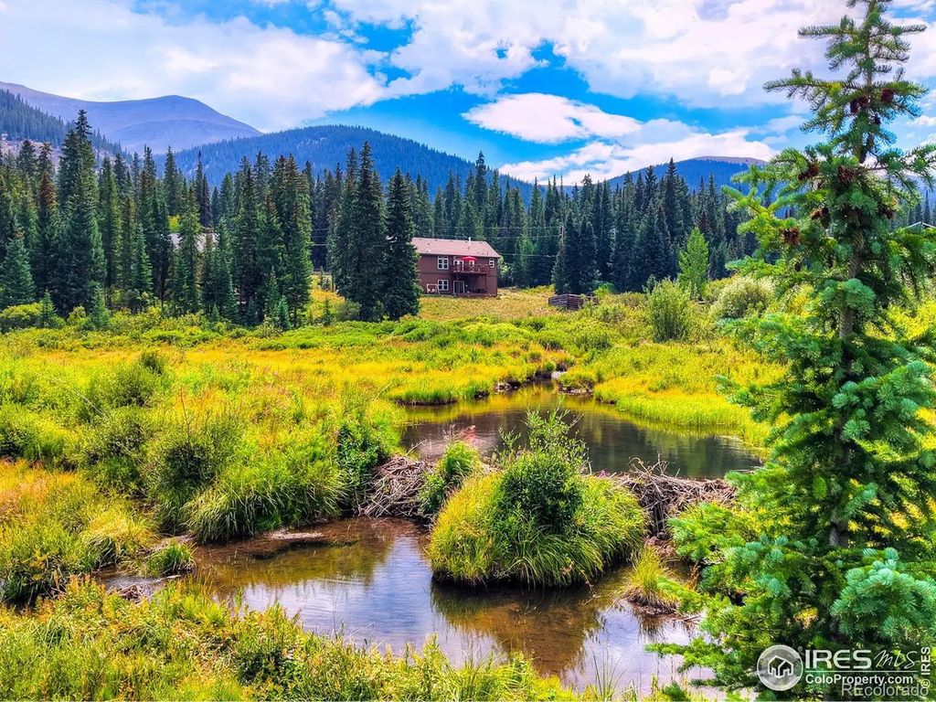 513 Rena Road, Breckenridge
