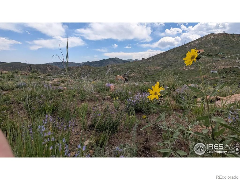 1324 Meadow Mountain Drive, Livermore