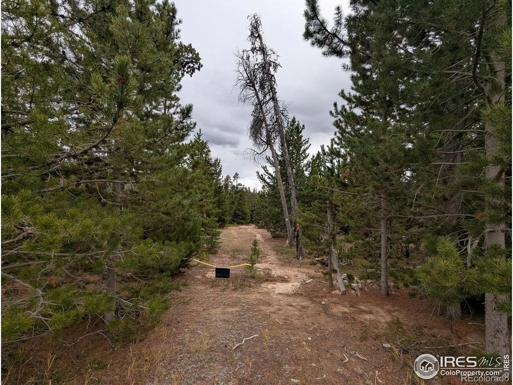 44 Catamount Court, Red Feather Lakes