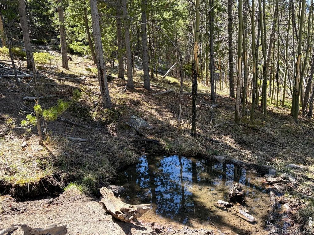 2174 Bear Gulch Road, Red Feather Lakes