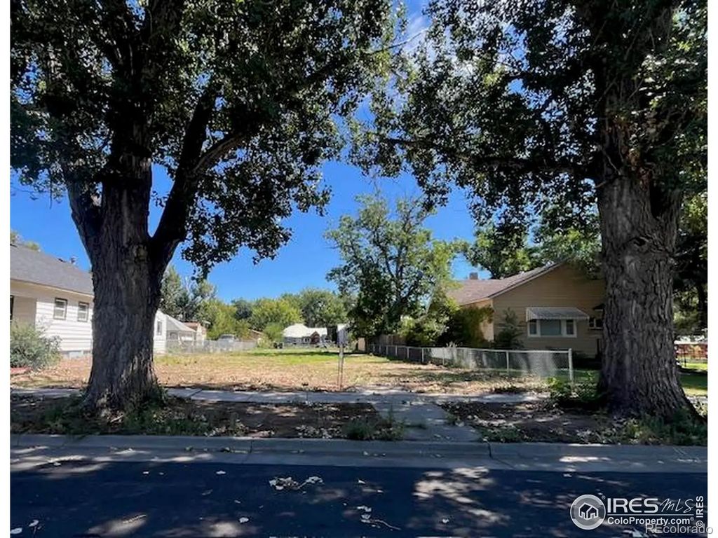 505 N Carson Street, Brush