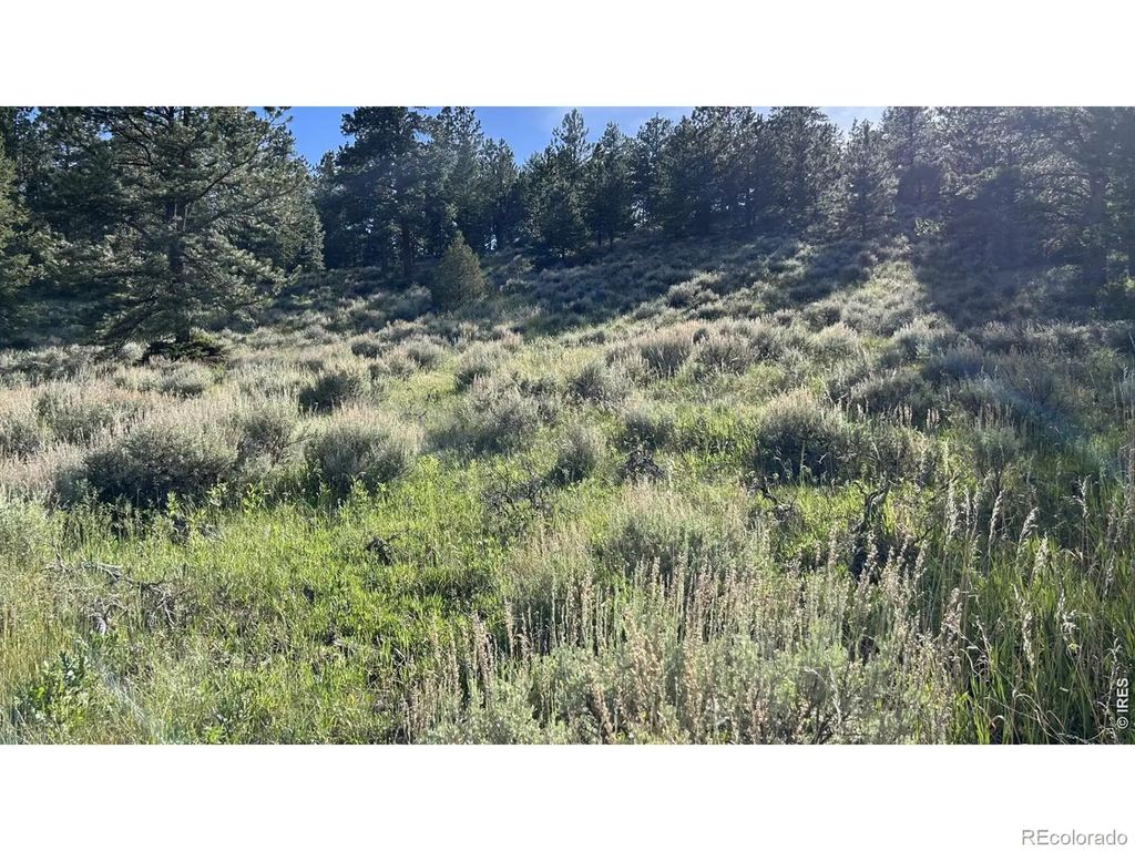 416 Comanche Circle, Red Feather Lakes