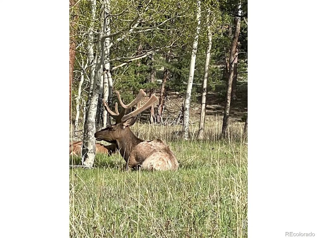 1565 Highway 66 #31, Estes Park