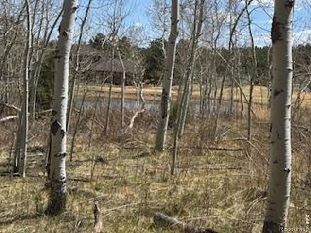 400 Fox Acres Drive W, Red Feather Lakes