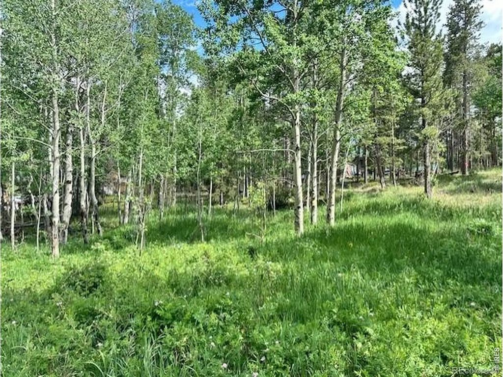 293 Aspen Circle, Black Hawk