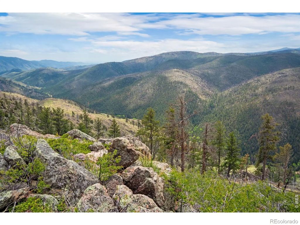 Spencer Mountain Road, Bellvue