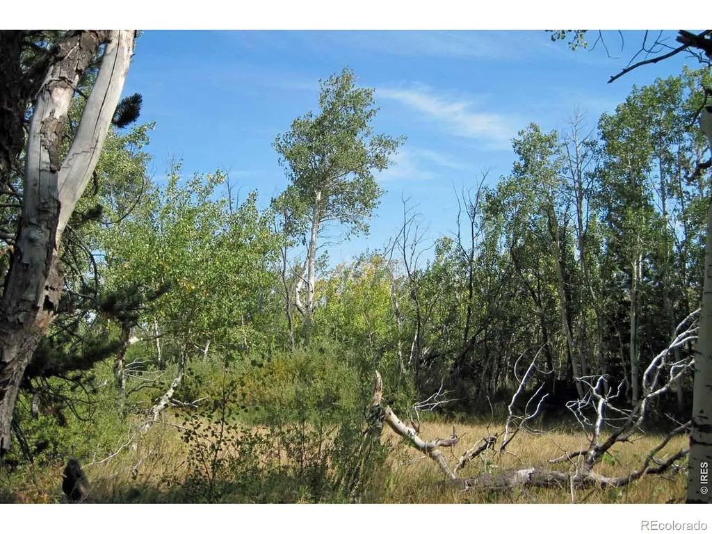 Wilderness Ranch Road, 