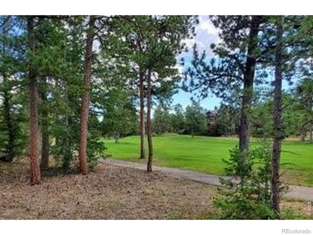 3031 Lake Arapahoe Court, Red Feather Lakes