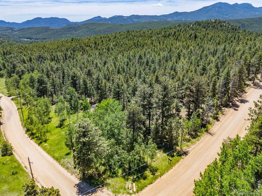 Magnolia Drive, Nederland